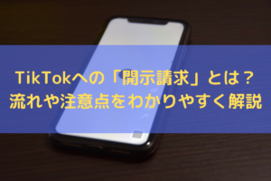 TikTokへの「開示請求」とは？流れや注意点を弁護士がわかりやすく解説