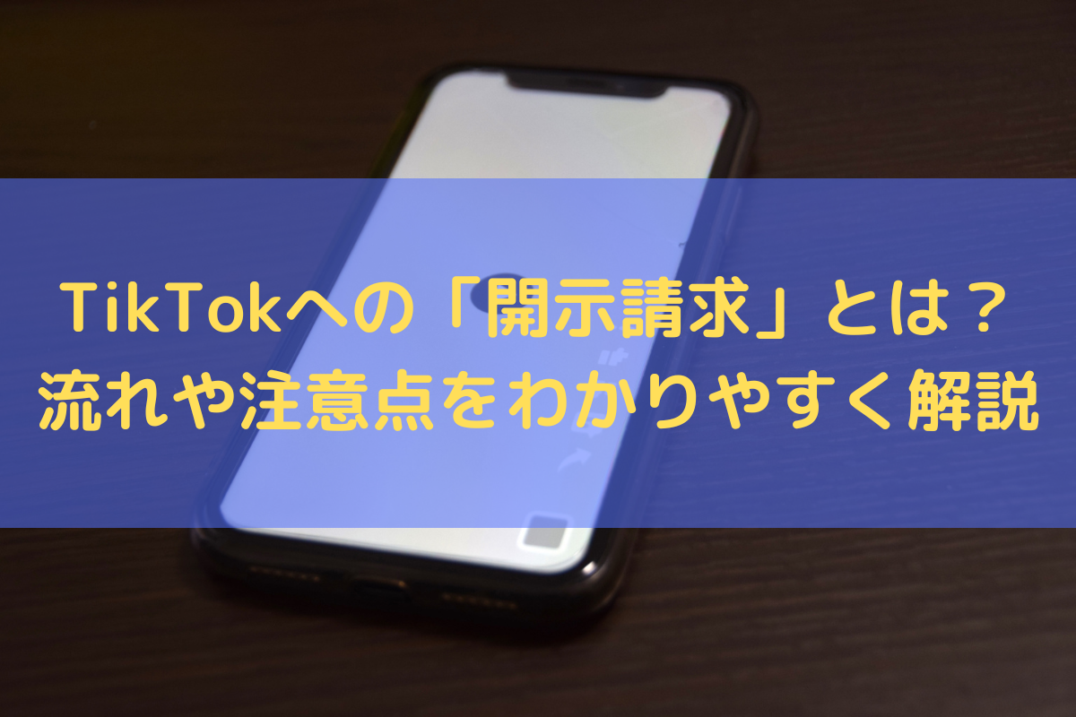 TikTokへの「開示請求」とは